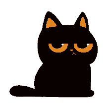 black cat