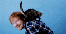 Ed Sheeran Kitty GIF - Edsheeran GIFs