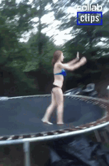 Jumped Spring GIF - Jumped Spring Dive GIFs