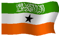 Somaliland Flag Sticker - Somaliland Flag Congratulations Stickers