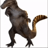 a dinosaur with a striped tail is standing on its hind legs on a white background .