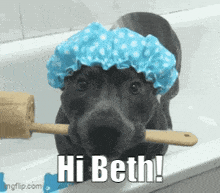 Hi Beth GIF - Hi Beth Eden GIFs