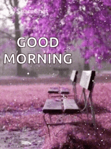 Good Morning Flowers GIF - Good Morning Flowers Bench GIFs