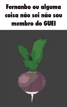 Fernabo Guei GIF