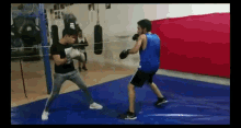 Box Boxing GIF - Box Boxing Boxers GIFs