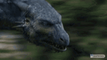 Eragon Saphira GIF