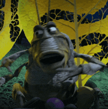 a close up of a bug with a yellow background