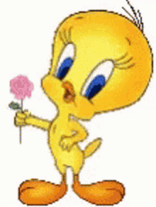 Tweety Tweety Bird GIF - Tweety Tweety Bird Looney Tunes GIFs