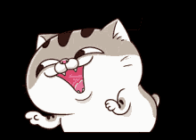 Ami Fat Cat Fgcat GIF - Ami Fat Cat Fgcat Funny GIFs