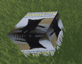 a cube with a picture of a cat and the words " now if you 'd scrunchly the when " written on it