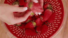 딸기 과일 GIF