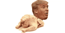 Donald Trump Chicken GIF - Donald Trump Chicken Twerking GIFs