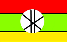 a red , green , yellow and black flag with a white ball in the middle