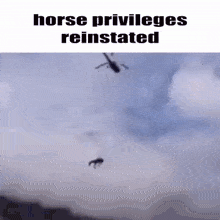 Horse Reinstated GIF - Horse Reinstated Privileges GIFs
