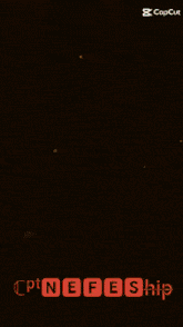 a screen shot of a game called cpt nefes ship