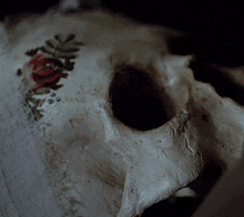 a close up of a skull with a red rose on it