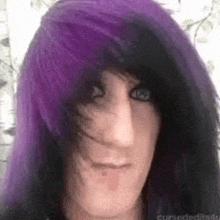a close up of a person with purple and black hair .