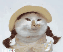 Cat Makeup GIF - Cat Makeup GIFs