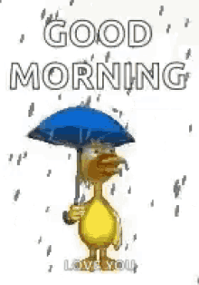 duck rainy day raining good morning