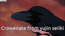 Crow Crowenate GIF - Crow Crowenate Yujin GIFs