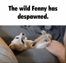 Fenny Fennec GIF - Fenny Fennec Despawn GIFs