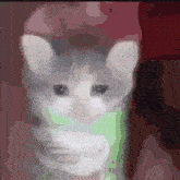 Sad Cat Sad Cat Meme GIF