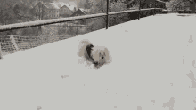 Snow GIF - Snow GIFs