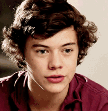 Harry Styles One Direction GIF - Harry Styles One Direction 1d GIFs