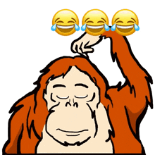 Orangutan Confused GIF - Orangutan Confused Keliru GIFs