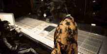 In The Beat Dancing GIF - In The Beat Dancing Swag GIFs