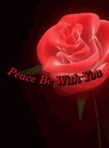 Peace Be With You Rose GIF - Peace Be With You Rose Flower GIFs
