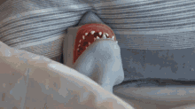 Shark Puppet Waking Up GIF - Shark Puppet Waking Up Shark GIFs