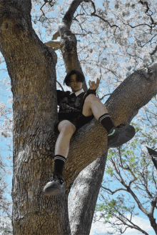 Tree Boy GIF - Tree Boy Sitting On Tree GIFs