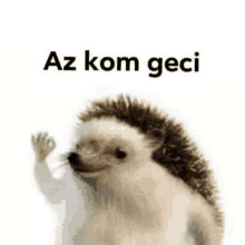 Az Kom Geci Kom GIF - Az Kom Geci Kom Geci GIFs