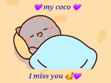 I Miss You I Love You GIF - I Miss You I Love You My Coco GIFs