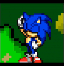 a pixel art of sonic the hedgehog standing next to a green background