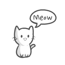 meow cat cute