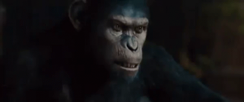 Planet Of The Apes No GIF - Planet Of The Apes No Nope ...