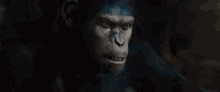 Planet Of The Apes No GIF - Planet Of The Apes No Nope GIFs