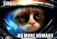 Finally, No More Humans - Grumpy Cat GIF - Grumpy Cat Star Craft Star Craft Ii GIFs