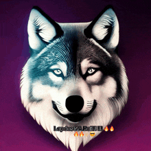 a drawing of a wolf 's head with the words lapdos na bail !!! below it