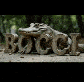 a statue of a crocodile laying on a pile of letters that spell bocci