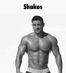 Shakos Shakos Overwatch GIF