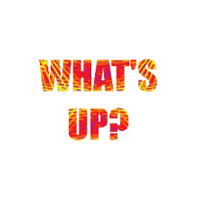 Whats Up GIF - Whats Up GIFs