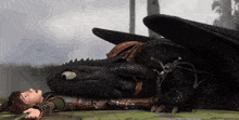 Toothless Funny GIF