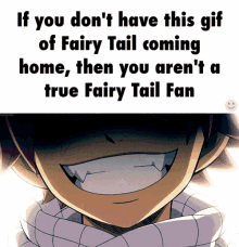 Fairy Tail Fan GIF - Fairy Tail Fan Smile GIFs