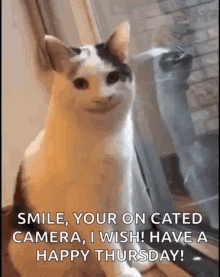 Smiling Cat Creepy Cat GIF