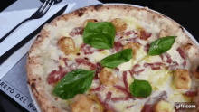 Pizza Crocchè Pizza Napoletana GIF
