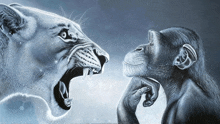a lion and a monkey are looking at each other