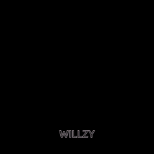 Willzy Streams Willzy Simps GIF - Willzy Streams Willzy Simps Willzy Spins GIFs